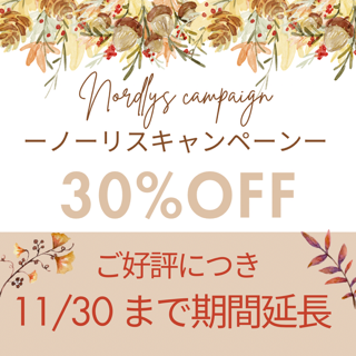 ノーリス３０％ＯＦＦ　キャンペーン　ご好評につき期間延長